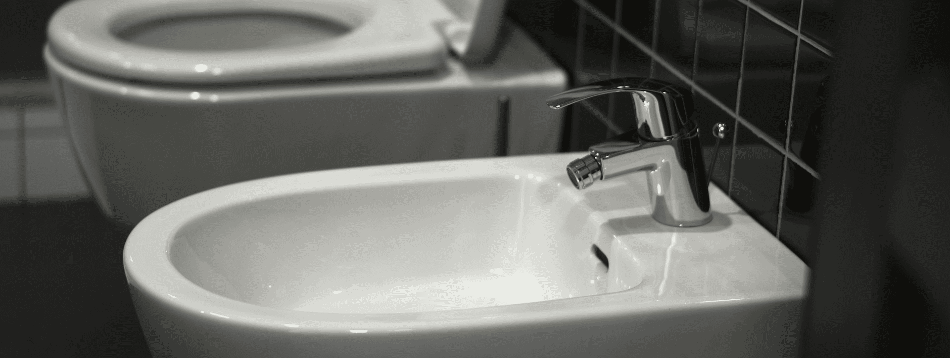 toilet en bidet